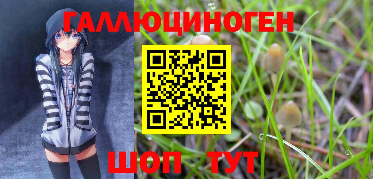 даркнет сайт  Вход с VPN  Галлюциногенные грибы мицелий  Междуреченск  Псилоцибиновые грибы мицелий 